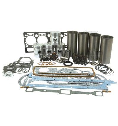 Engine Kit for A4.203 with valve kit