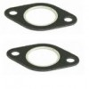 Manifold Gaskets (Sold in Pair)