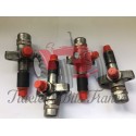 Set of 4 ,complete Injector - TEF20 reconditioned (Exchange )