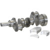 Crankshaft Kit - Lip Seal