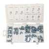 Workshop Kit Grease Nipple Assortment 70 pc