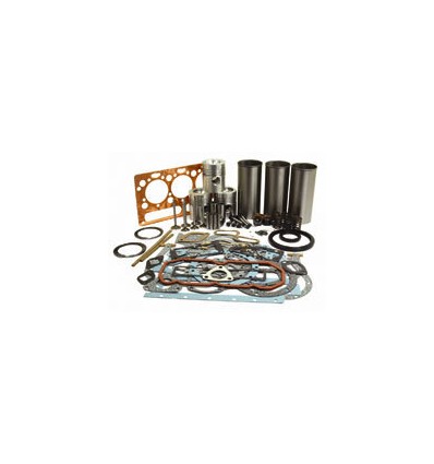 Complete Engine Kit MF 230, 240 AD3.152