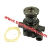 Water Pump and Pulley 81718104 957E8501B