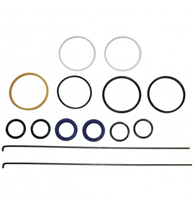 Power Steering Ram Seal Kit