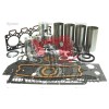 Engine Kit A4.248 - Pistons 3 rings & Liner with firelip