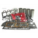 ENGINE KIT A4.248 - 4 RINGS & LINER WITH FIRELIP