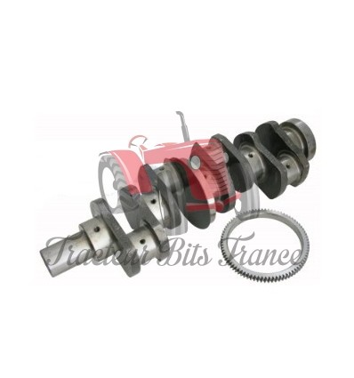 Crankshaft 3132968R92, 3055787R92