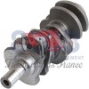 Crankshaft C5NE6303N