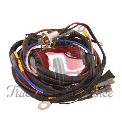 Wiring Harness- Alternator Conversion