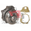Water pump and pulley - single groove