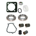 Steering Box Repair Kit MF 165