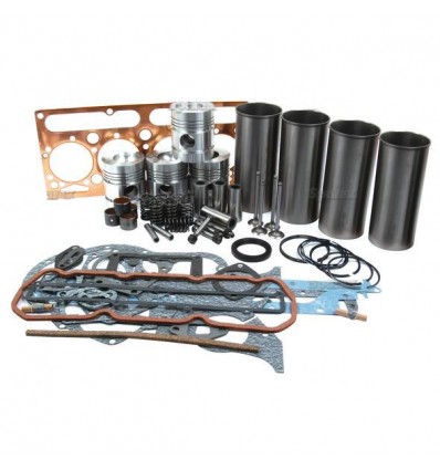 Engine Kit for A4.203 chrome liners without valve kit