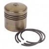 Hydraulic Piston and Ring Set