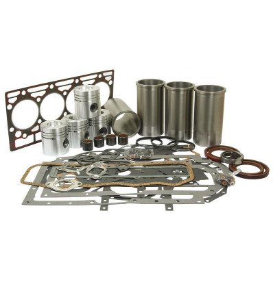 Engine Overhaul Kit - D206 Engine