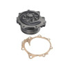 Water Pump (double pulley) with gasket 82845215