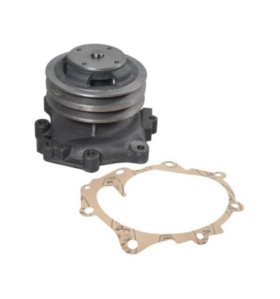 Water Pump (double pulley) with gasket 82845215