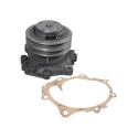 Water Pump (double pulley) with gasket 82845215