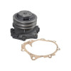 Water Pump (double pulley) with gasket 82845215