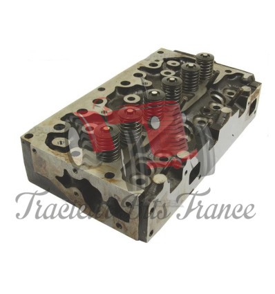 Cylinder Head AD3.152 with valve kit 3637389M91