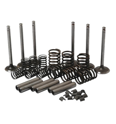 Valve Train Kit with Guides MF 35 45°