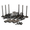 Valve Train Kit with Guides MF 35 45°